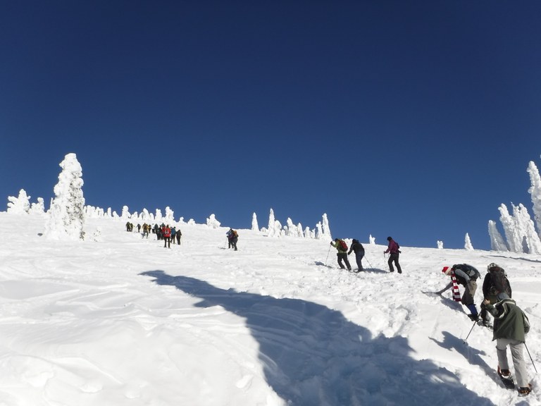 A string of climbers toil up the snowy slope of Mount Spokane. Frost-encrusted trees dot the landscape.