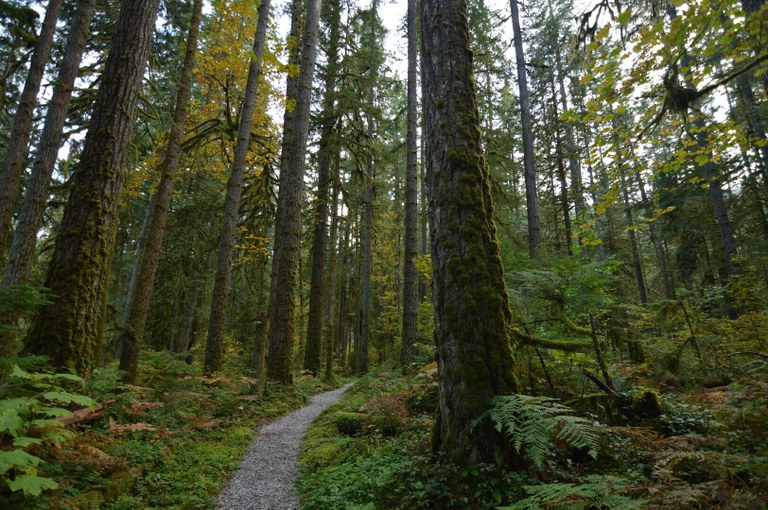 Old Sauk Trail by Jon Lee.jpeg