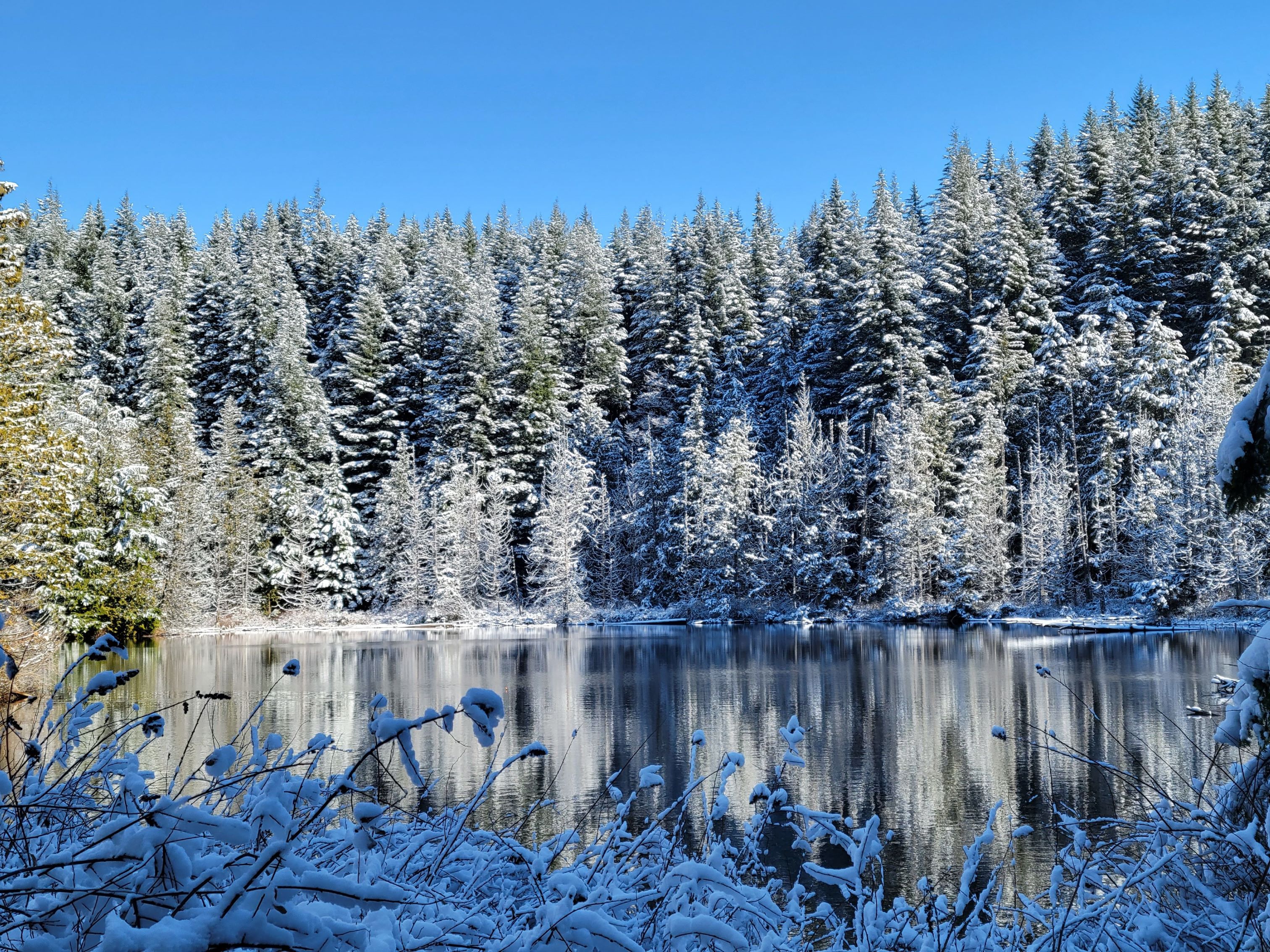 Snow covering the shores of Pine and Cedar Lakes. Photo by bentley-edelman.