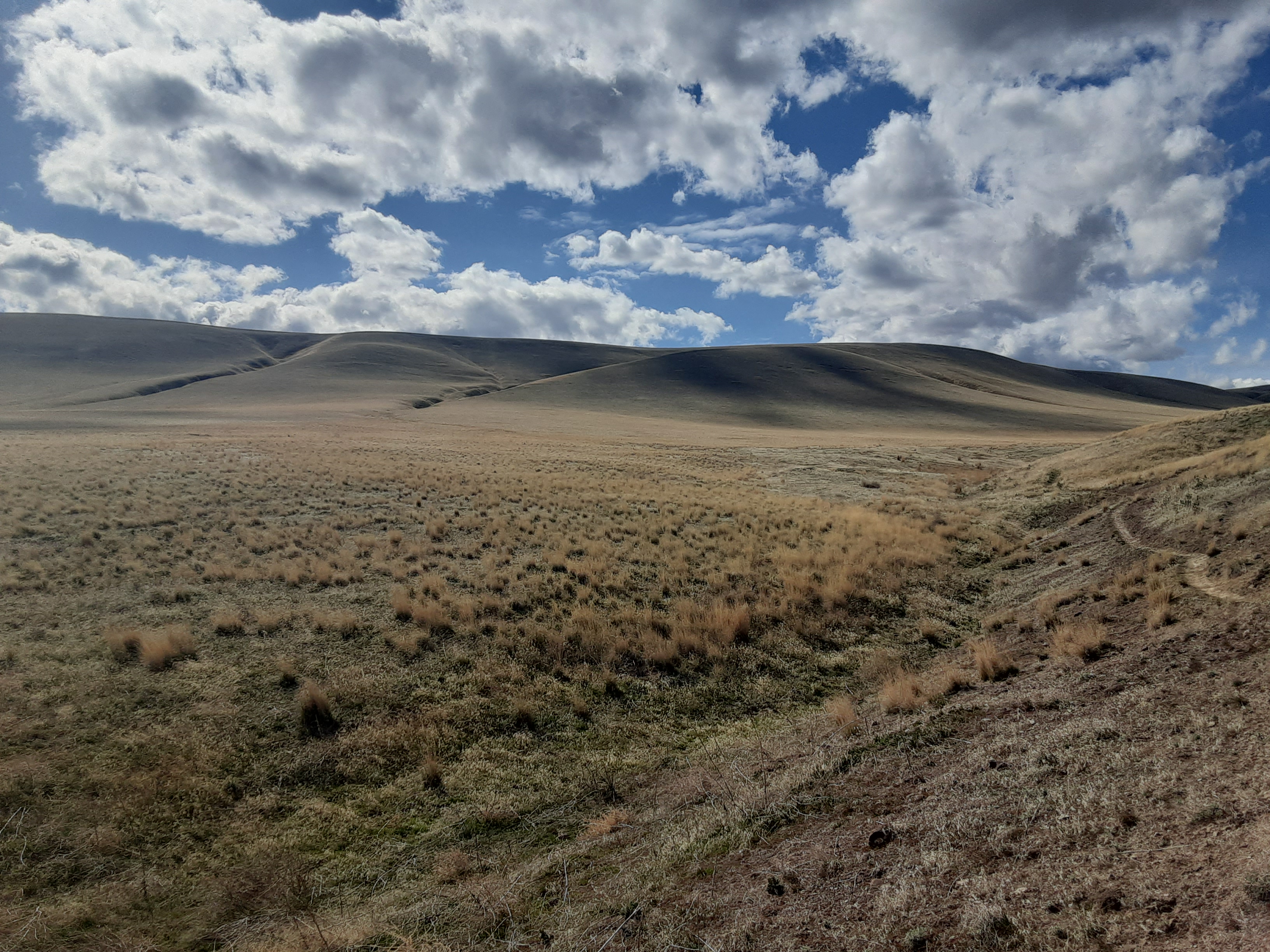 Dry grass and shubbery and rolling hills at Rattlesnake Slope Wildlife Area. Photo by HikerHanks.