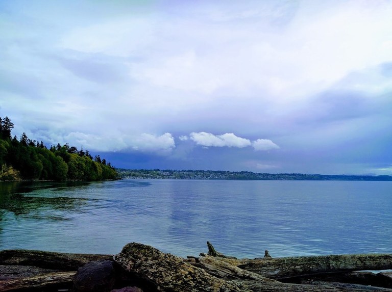 Saltwater State Park by jtmeow Water laps at a rugged shoreline with large stones and felled logs.