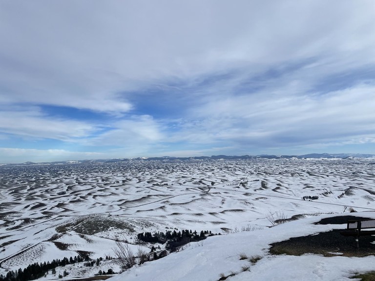 Snowy slopes, blown by the wind, cover the landscape as far as the view goes.