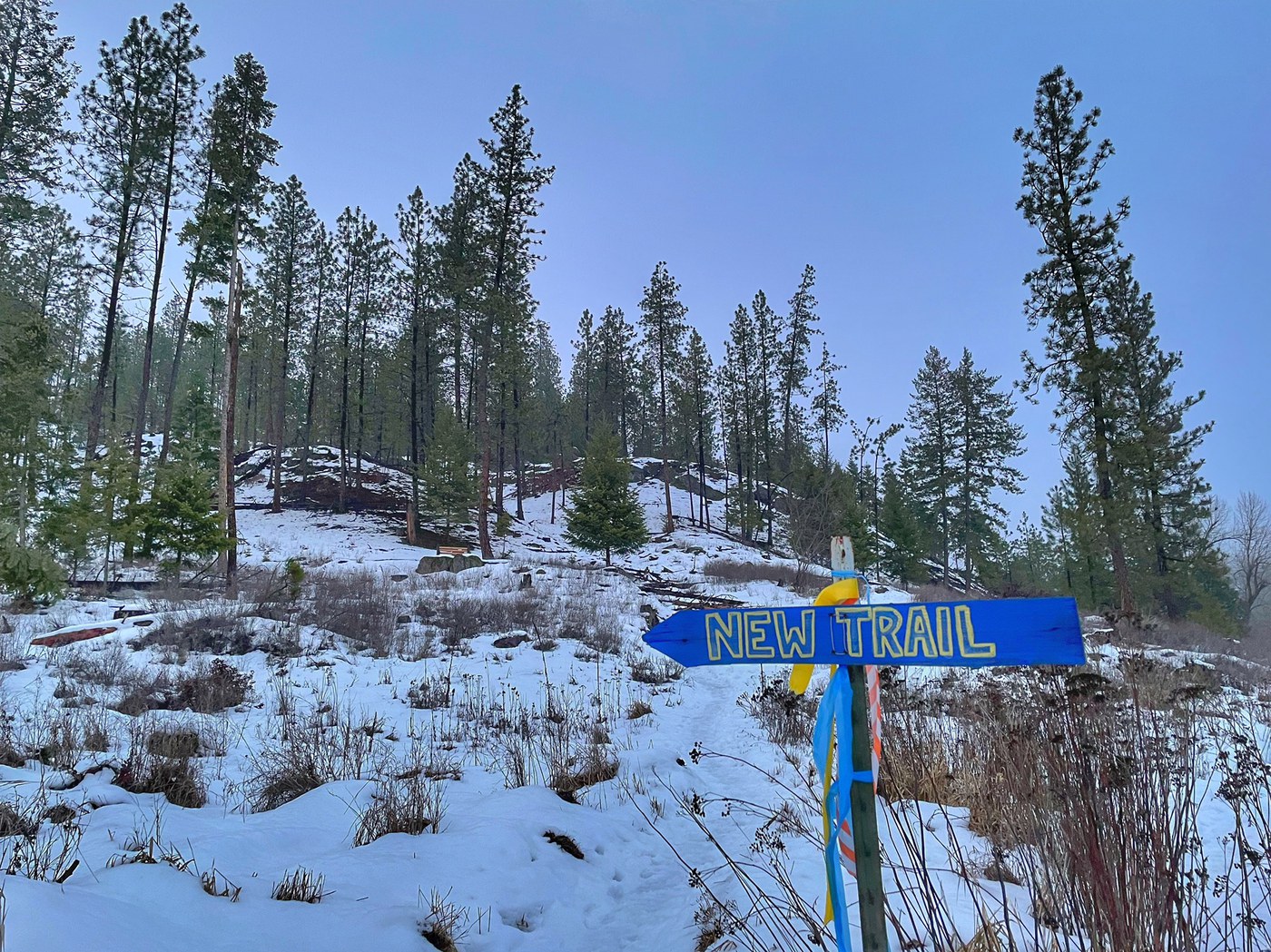 A sign says new trails, with streamers, pointing to a snowy trail climbing uphill. 