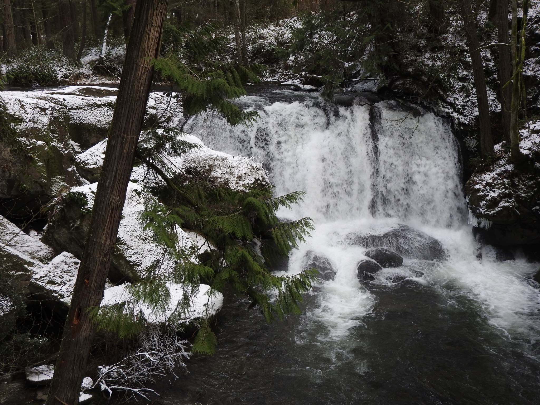 A wintry Whatcom Falls  A wintry Whatcom Falls