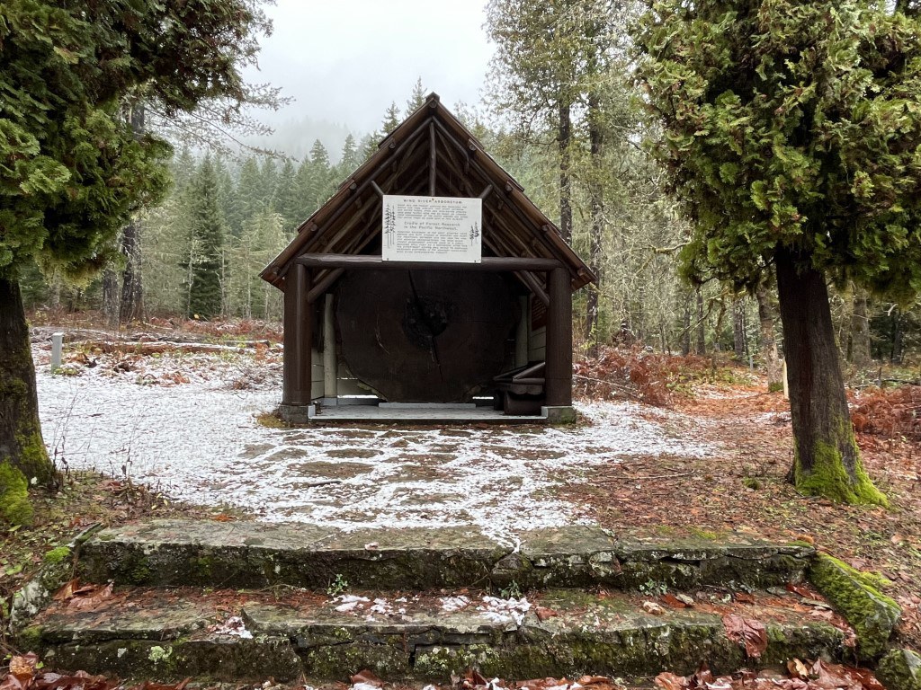 A shelter with light dusting of snow on the ground. 