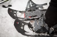 Winter Skills Courses and Guided Snowshoes