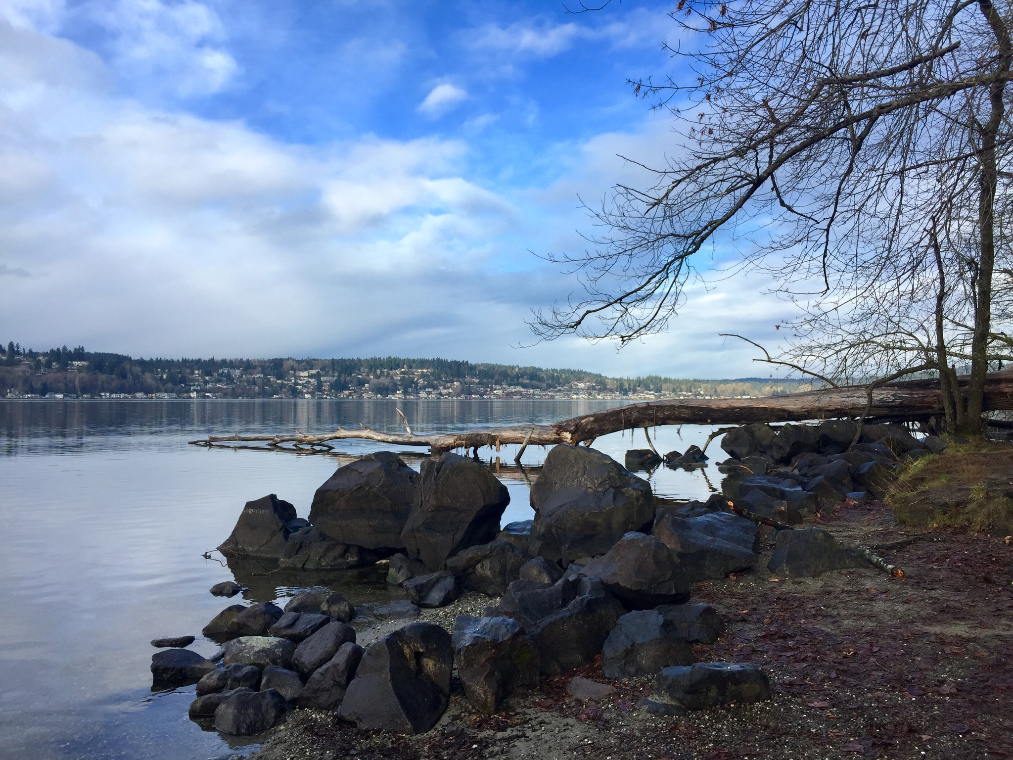 Escape to Nature Close to Home — Washington Trails Association