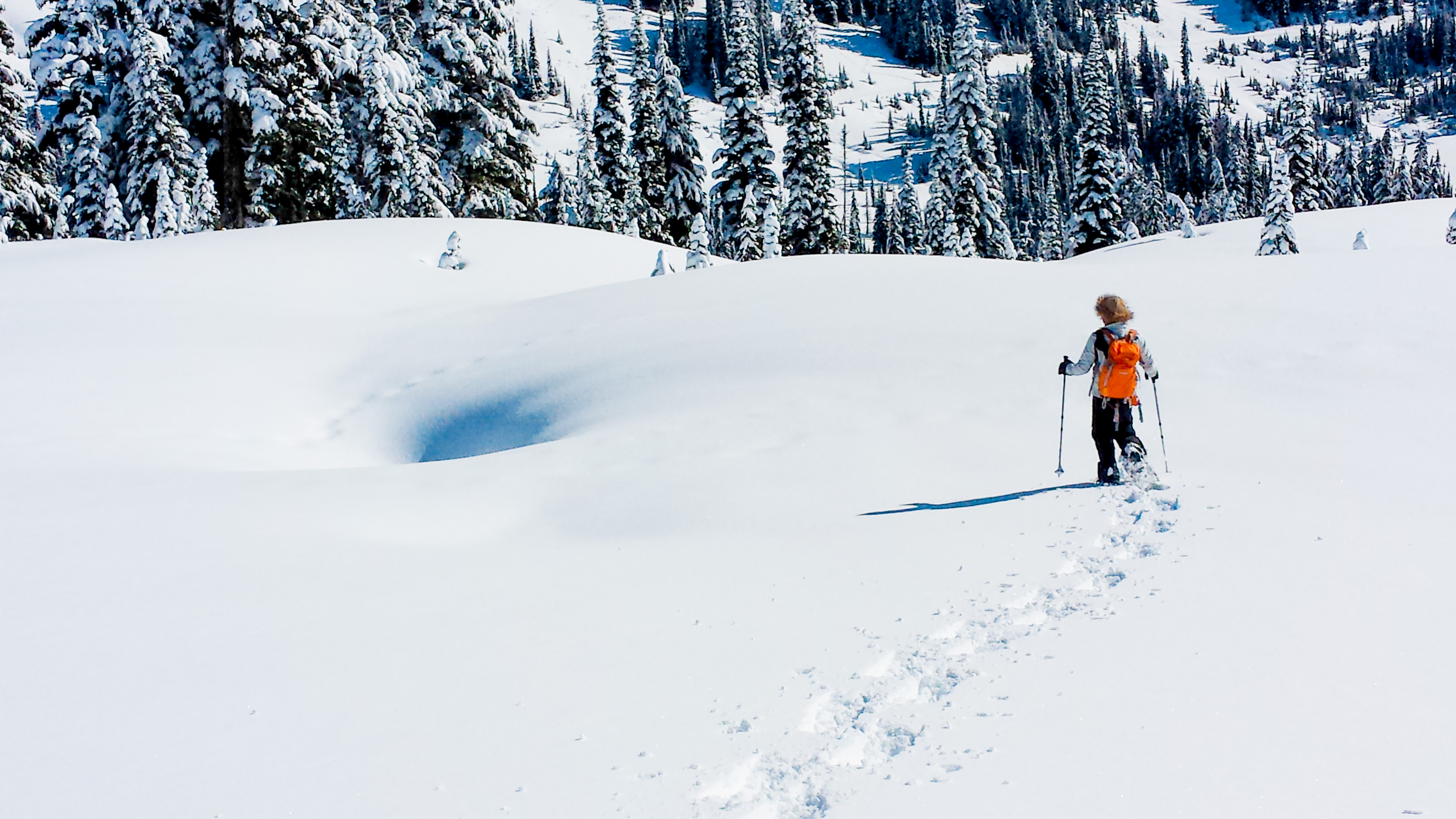 Skyline Trail Photo by Tuck Tongpattanakul..jpg