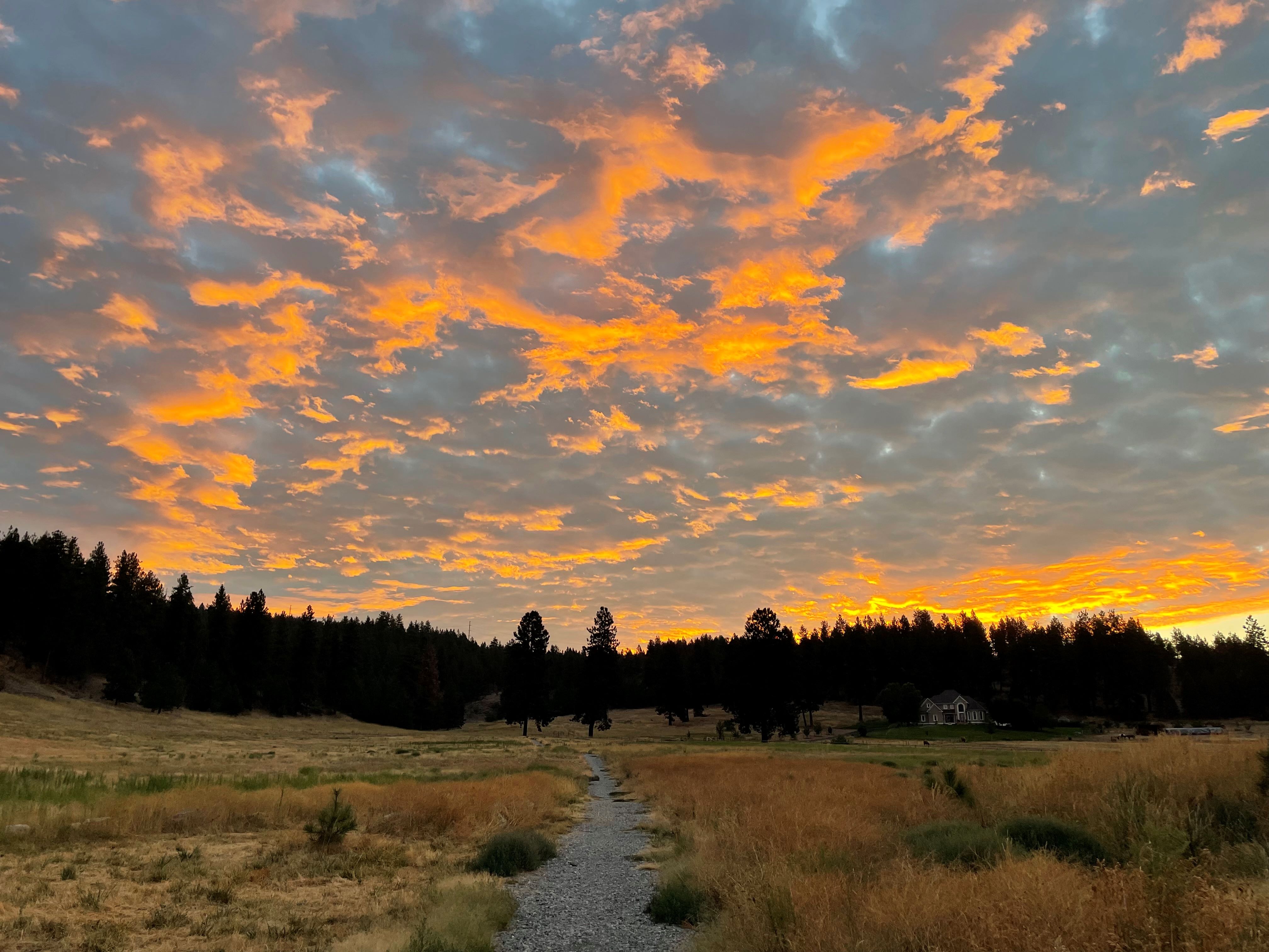 Sunrise from a trail at the Antoine Peak Conservation Area. Photo by TrailKat.