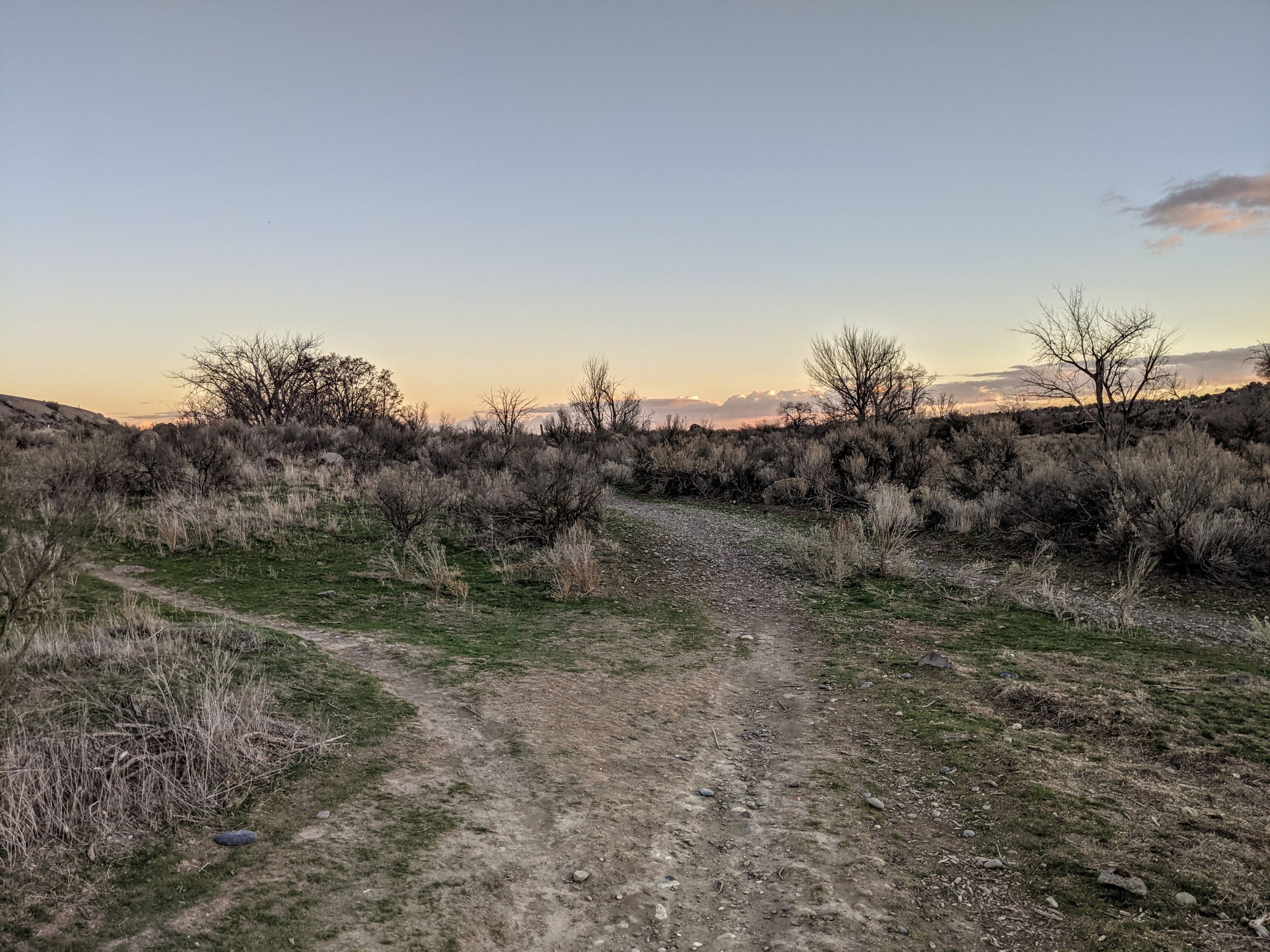 Trails at the Chamna Natural Preserve. Photo by vikr.