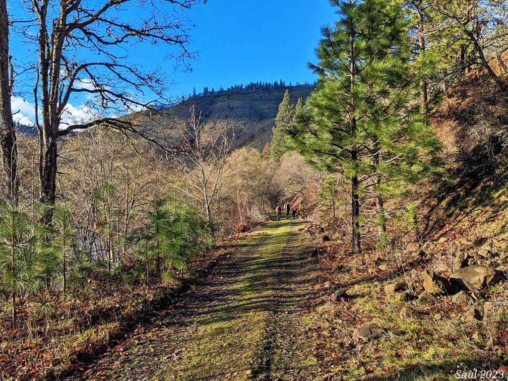 The wide Klickitat Rail Trail next to the Klickitat River in winter. Photo by Sunrise Creek.