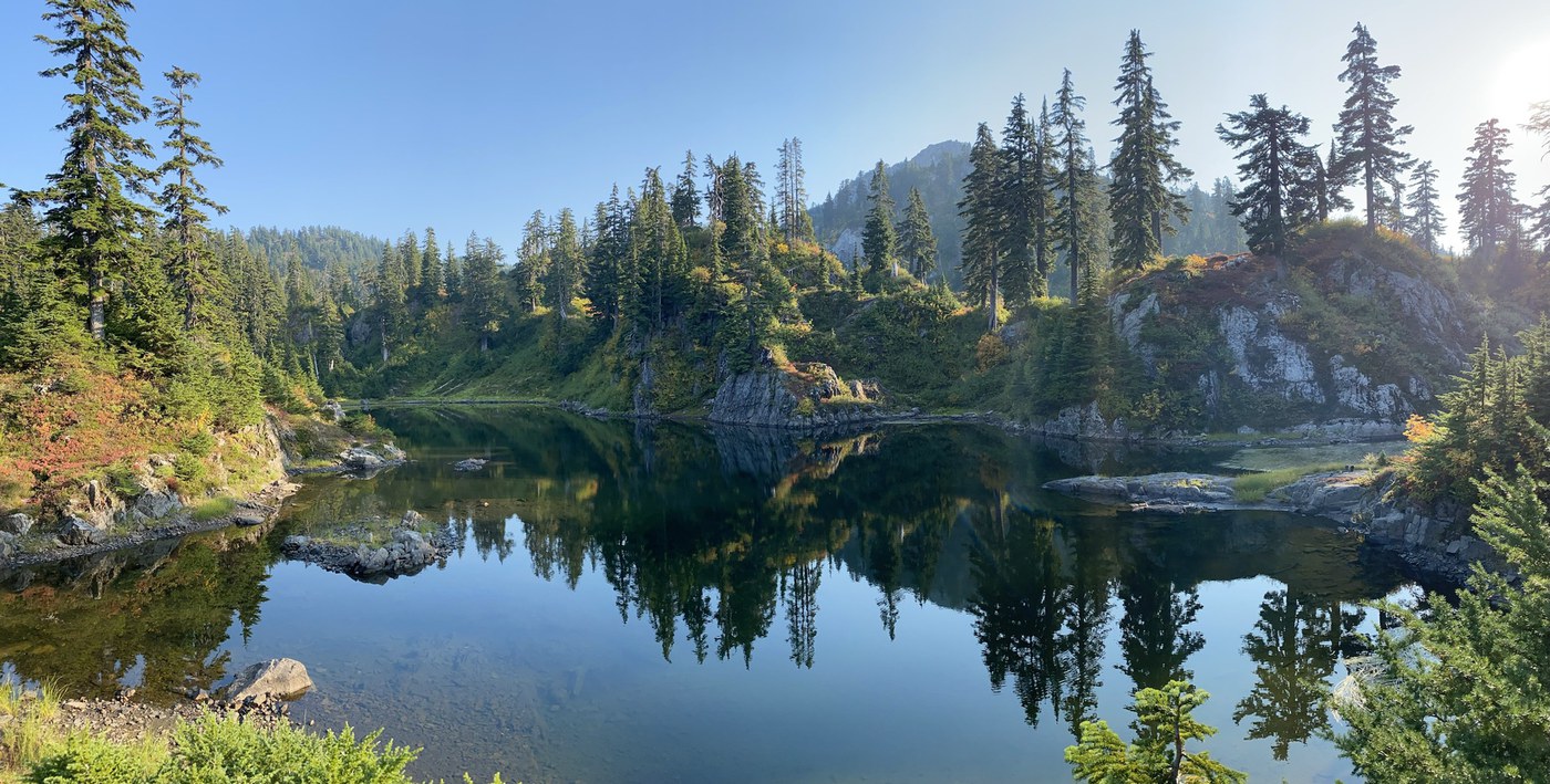 Evergreen trees are perfectly reflected in the lake's waters on a sunny day