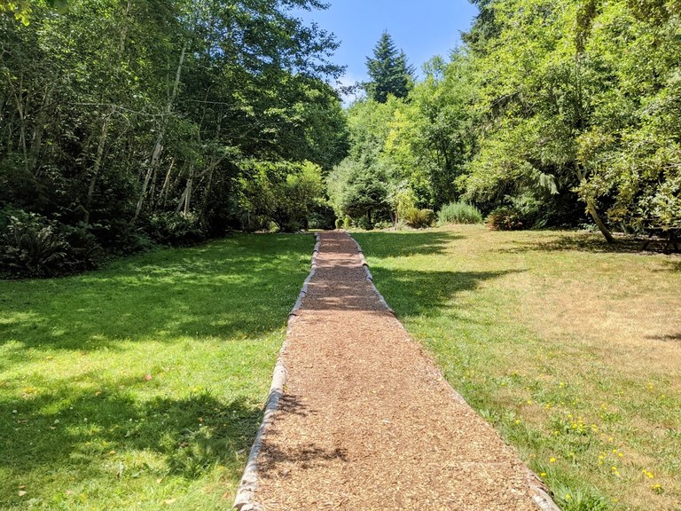 A trail leads from the foreground into a forested background. 