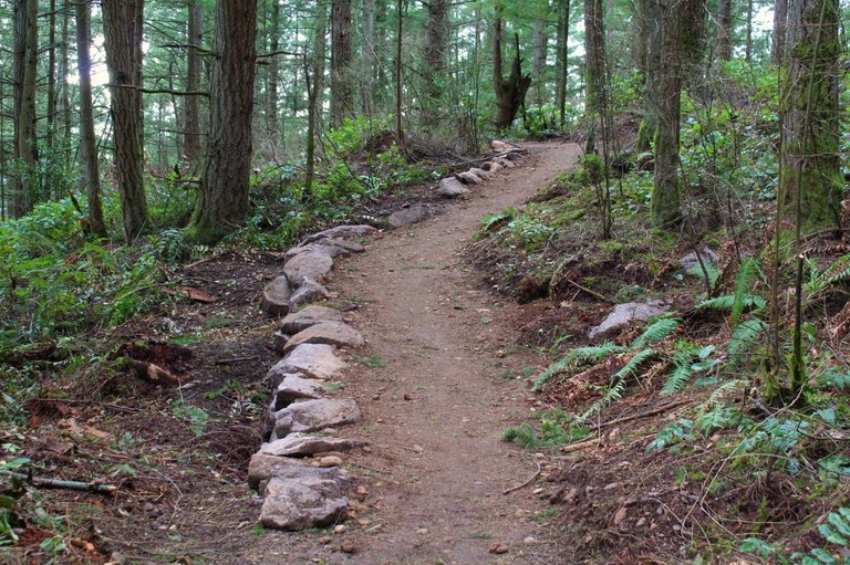 a rock lined trail climbs through second-growth forest