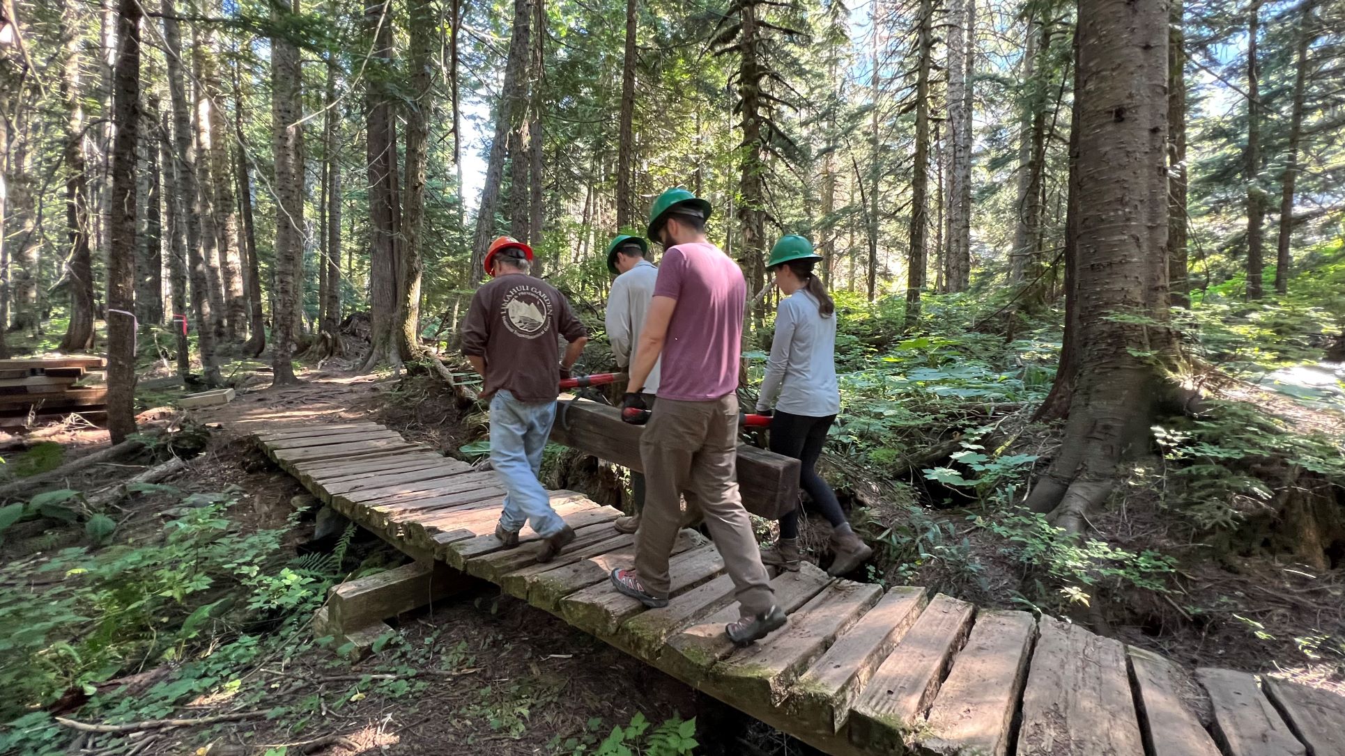 WTA work party. Photo by Andy James. Crew members working together to carry a large post on a WTA work party at Franklin Falls. Photo by Joe Olbrych.