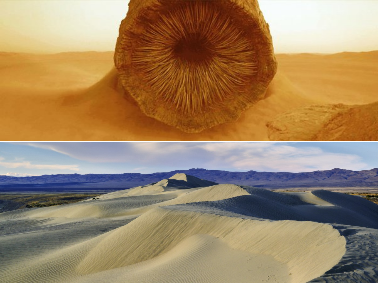 A split of a giant sandworm of Arrakis and an image of sand dunes from White Bluffs - North.