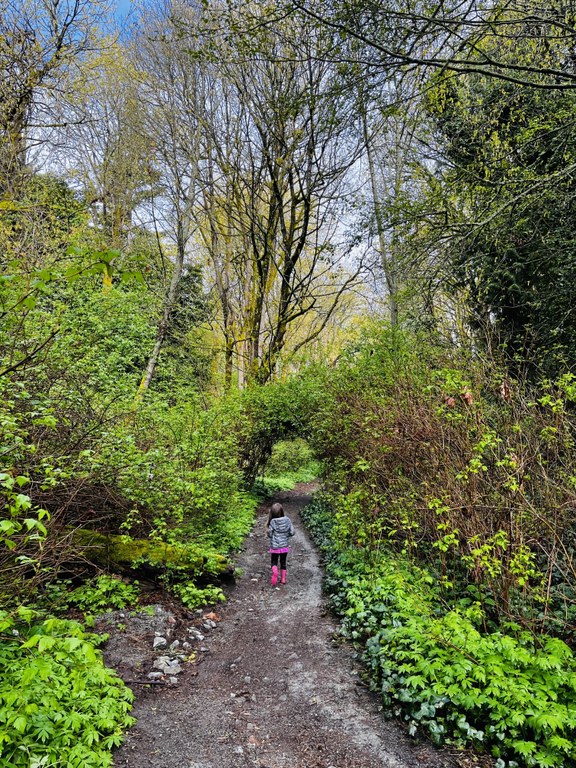 This photo used one of the iPhone’s built-in filters that boosted vibrancy and contrast to make the foliage and sky pop in an image that would have otherwise been somewhat flat. Photo by Erika Haugen-Goodman. A child walks on a trail beset on each side by lush foliage.