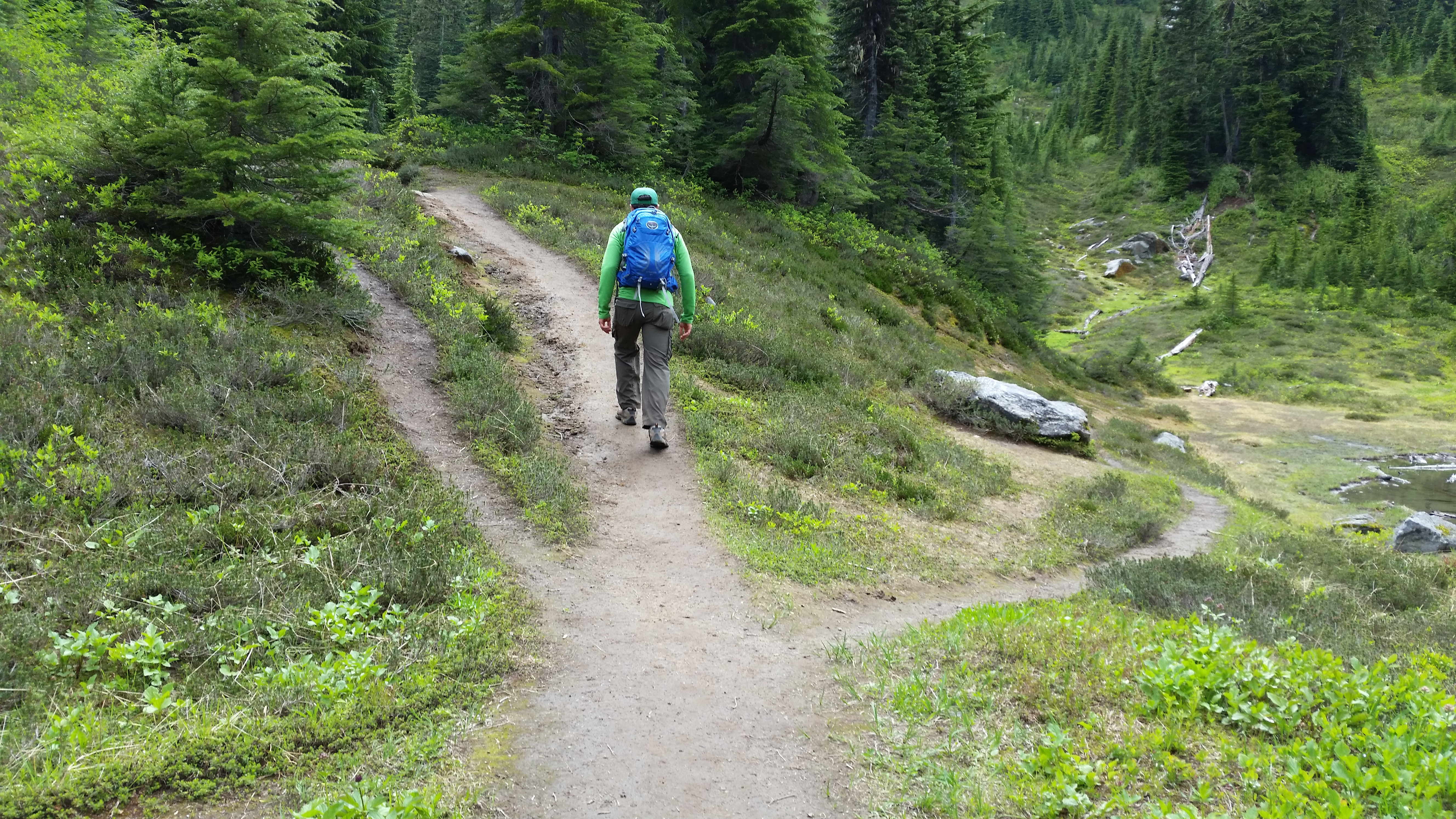 Social trails by Loren Drummond Hiker walks on a wide path that has two narrow paths branching off on either side of the main trail