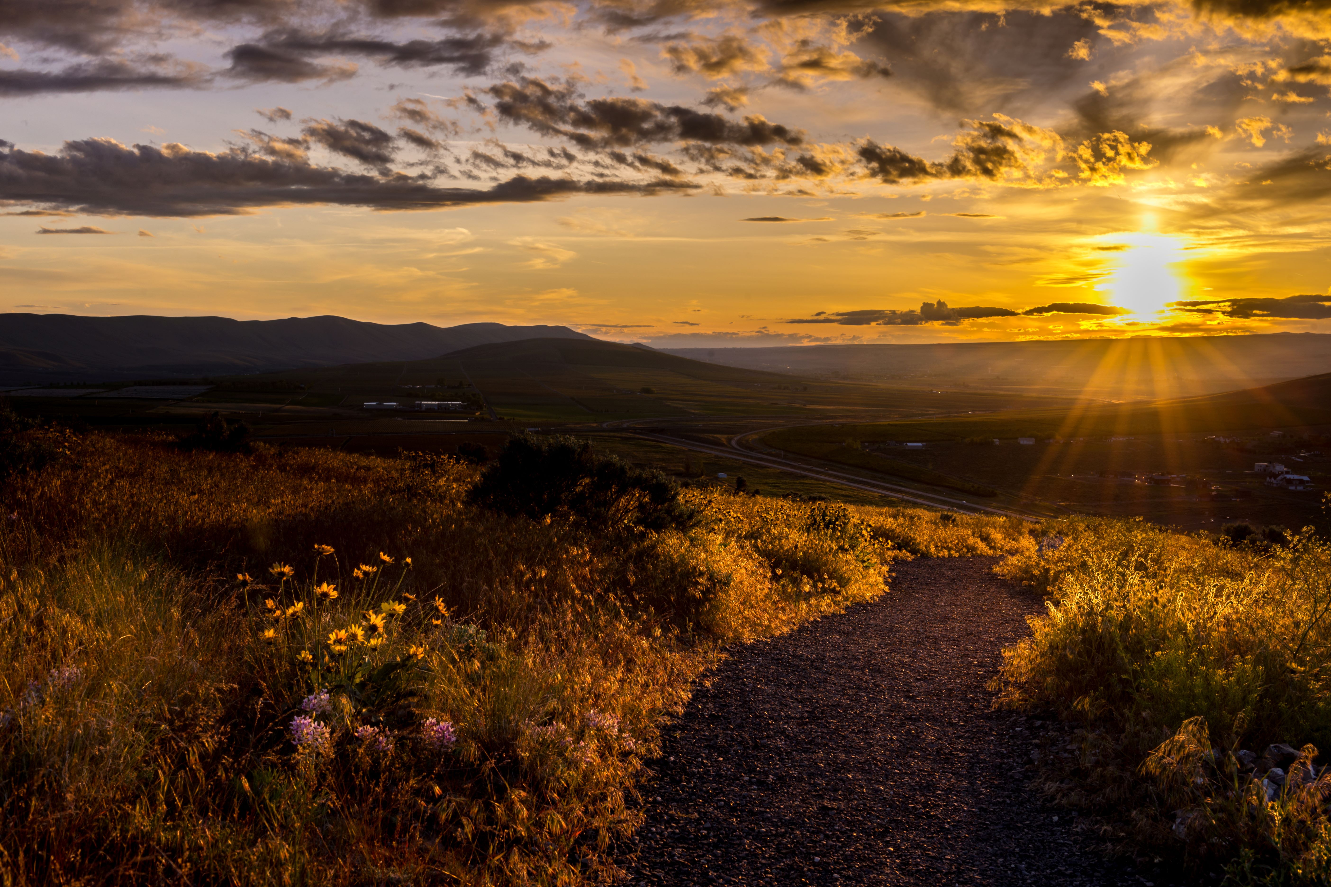 Sunset on the Badger Mountain trail among the wildflowers. Photo by Dale Halgren.