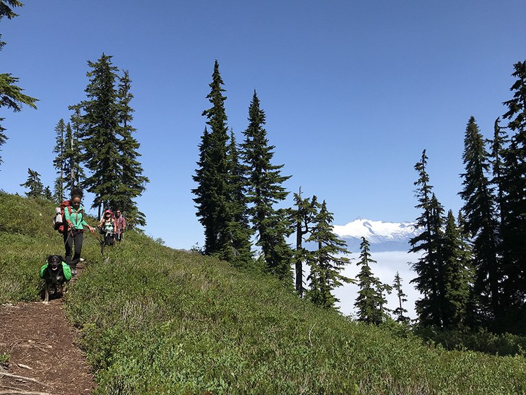 dog Angie Tomson of Fernanda-web.jpg A hiker walks down a trail with a dog on a leash.