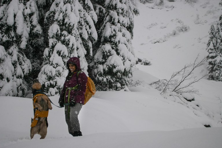 dog tanner colton .jpg dog tanner colton .jpg