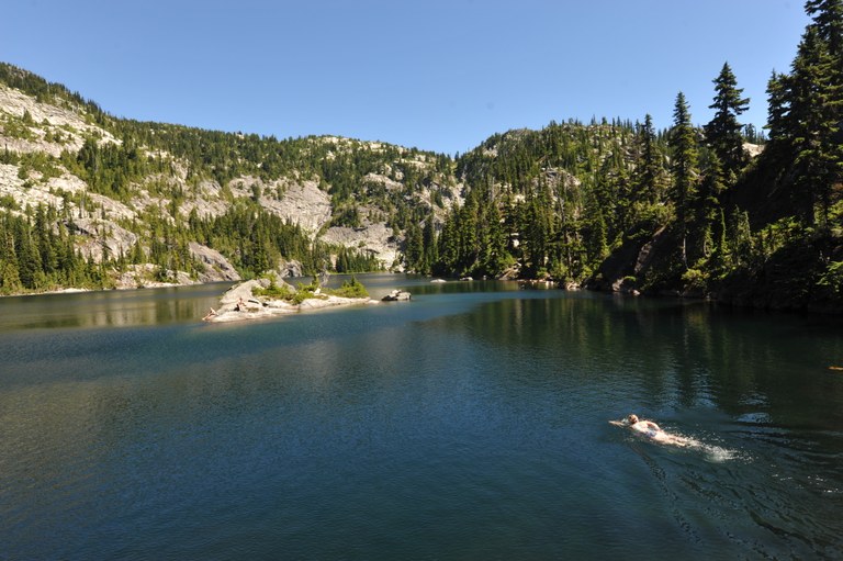 A swimmer swims toward an island in a clear mountain lake. 