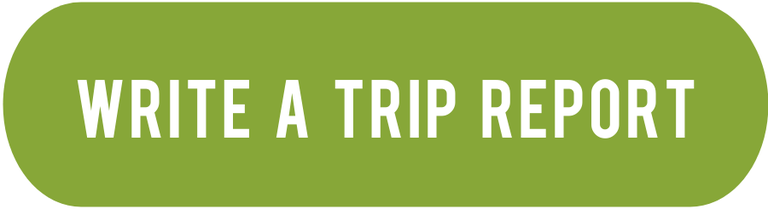 Write a trip report