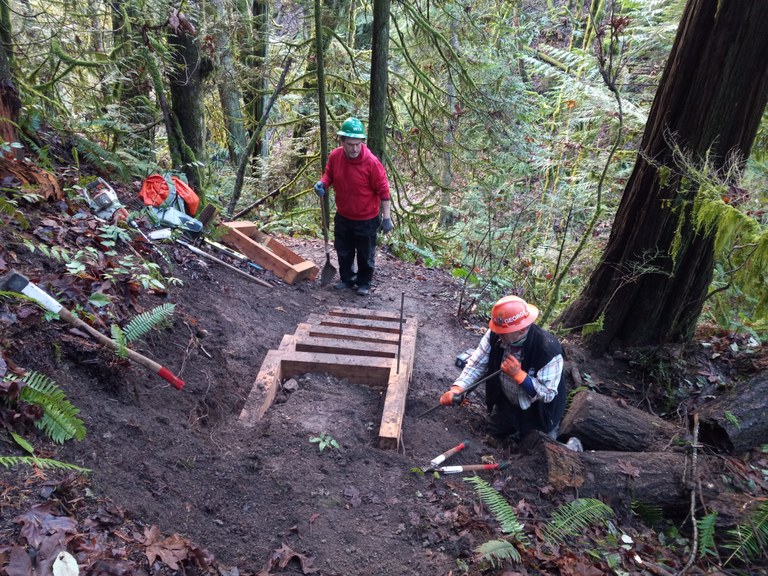 Trailwork on the Licorice Fern Trail volunteers working on steps in forest