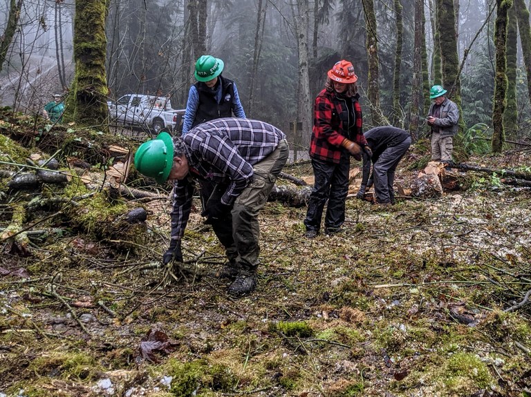 New trail being made Volunteers working in forest