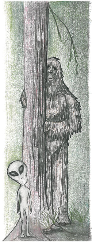 Sassquatch Illustration