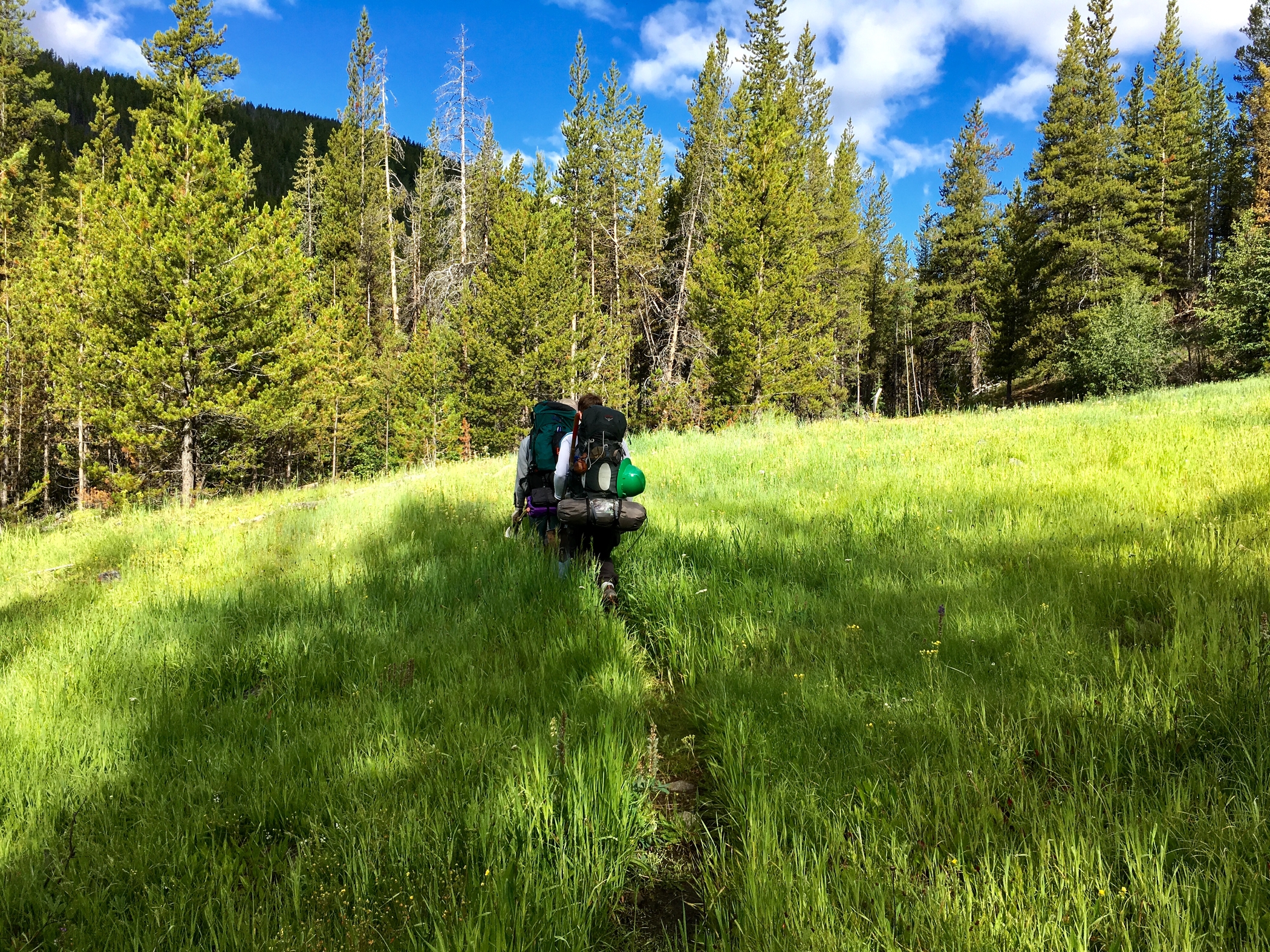 Trail crew hikes across a meadow in remote Horseshoe Basin. Photo by Jeremy Tarife