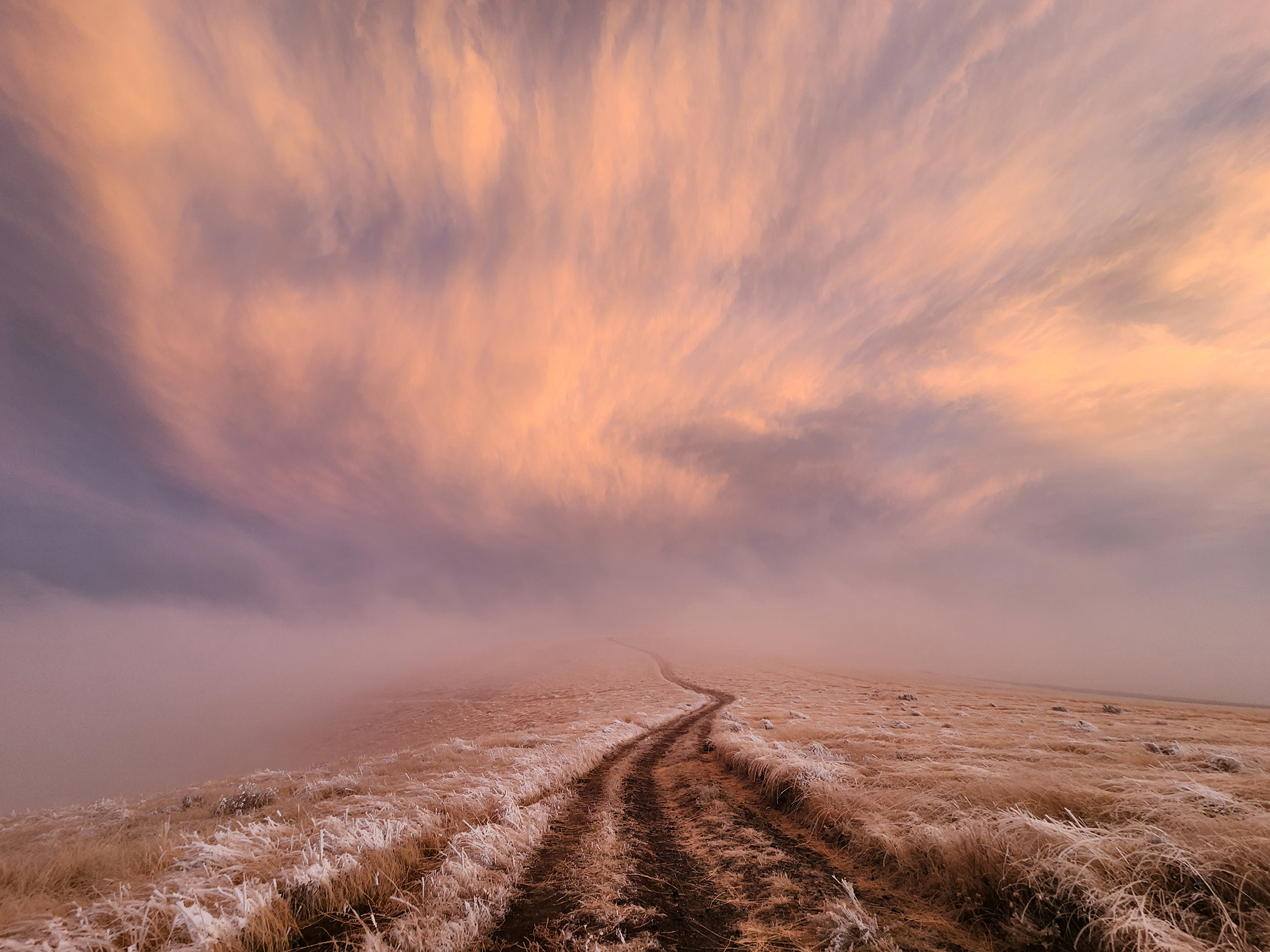 1st trailscapes 2024 Daniel Tate A trail leads to the horizon, amid frost desert vegetation, with a dreamy sunset in the background.