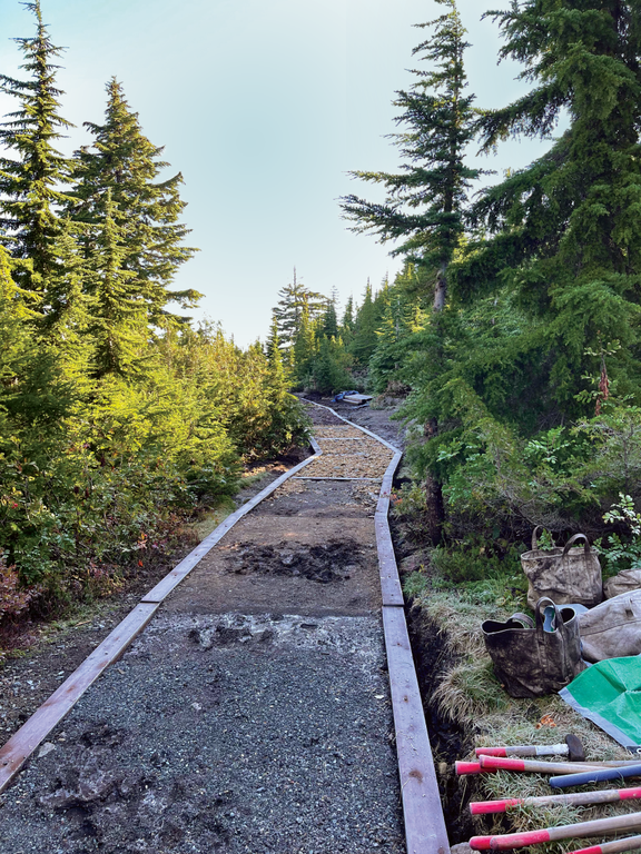 A raised turnpike on the trail. Photo by Brandon Tigner. A raised turnpike on the Mount Pilchuck trail with wooden curbs. Photo by Brandon Tigner.