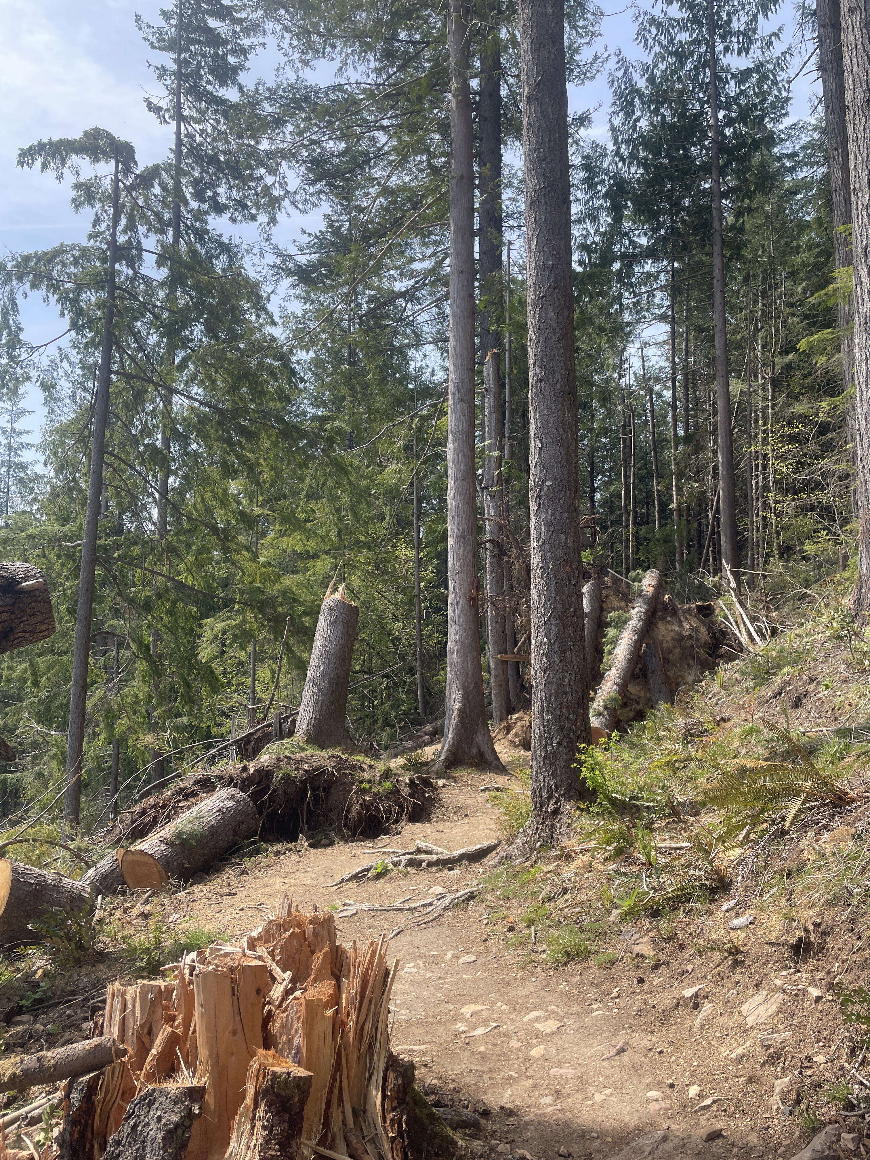 after2.jpg after2.jpg