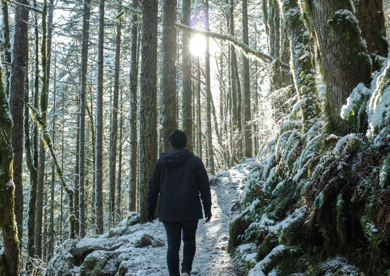 A hiker walks along a frosty path in a snow-cropped forest.