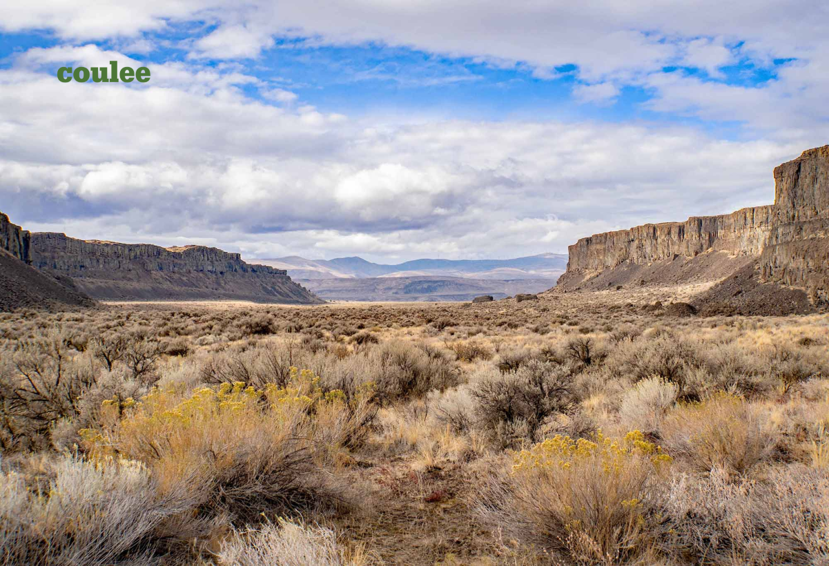 C is for coulee. Photo by David Hagen.