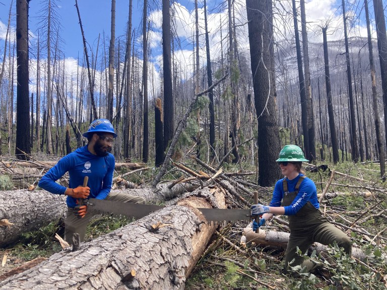 Two professional crew members draw a crosscut saw across a log.