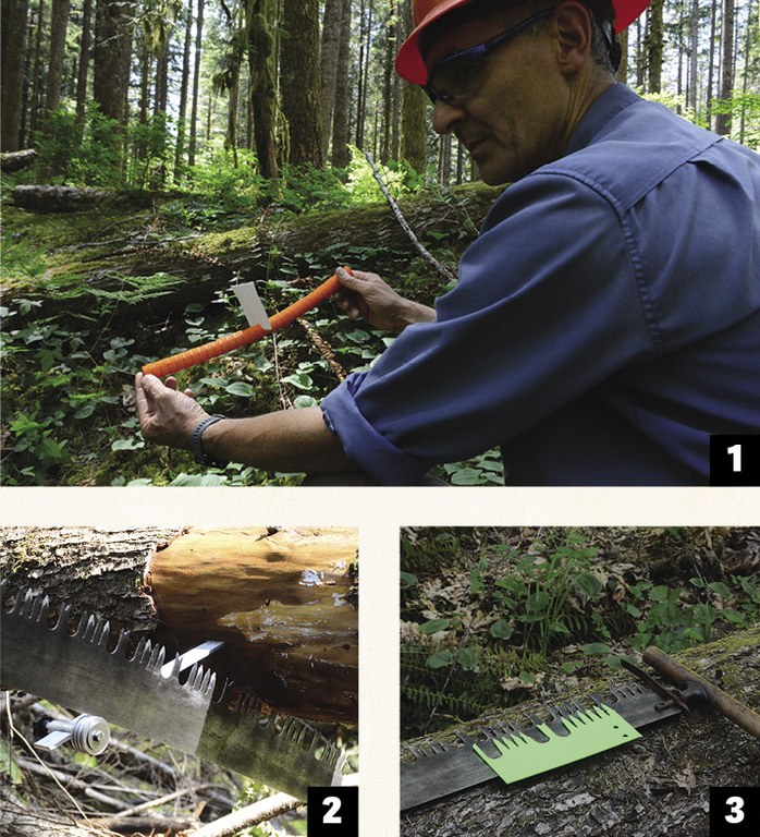 Creative tools 3 photos show trails tools: an orange flexible tube for teaching about bind; a tool for sawing from under a tree and a green tool to each about saw blades.