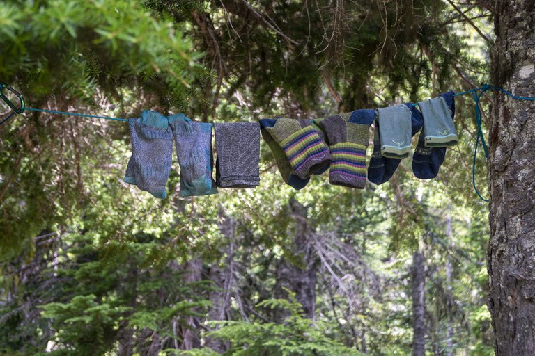 A clothesline of socks in the backcountry.