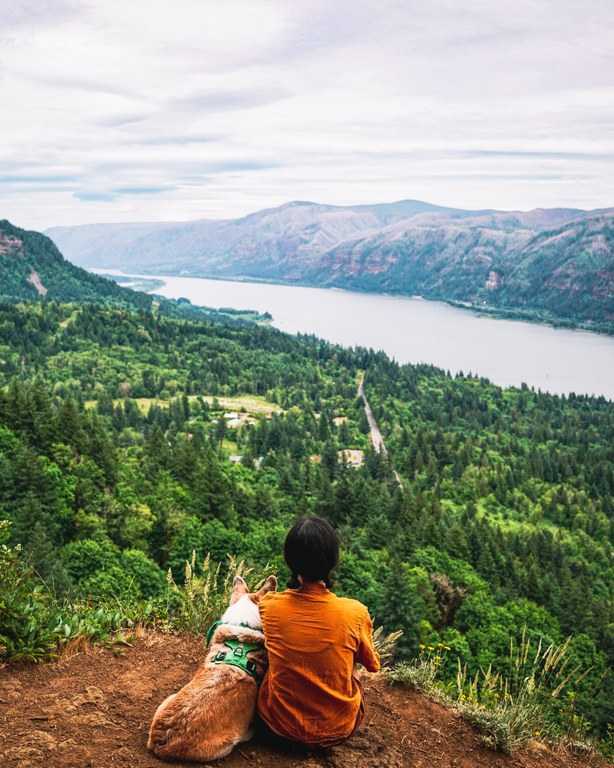 Overlooking Columbia river, vibrant greenery and overlook. Foreground person in orange shirt next to a corgi admiring view. 