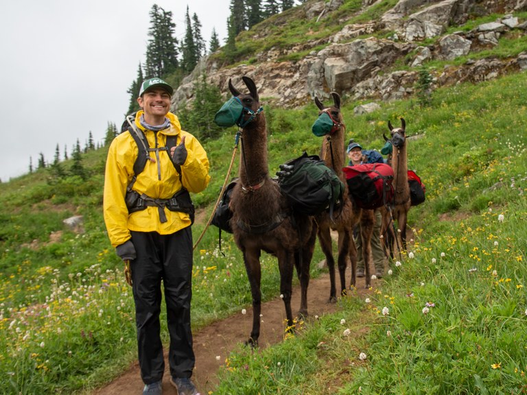 Two hikers smile with their string of stock llamas.