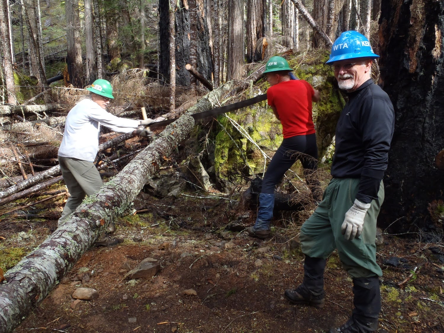 Ken's first experience as a blue hat at a work party on the Duckabush River Trail.