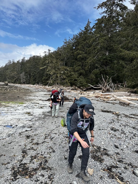 The ELP cohort hike along the beach. They're wearing backpacks. On one side is the beach, and on the other side is a forest.