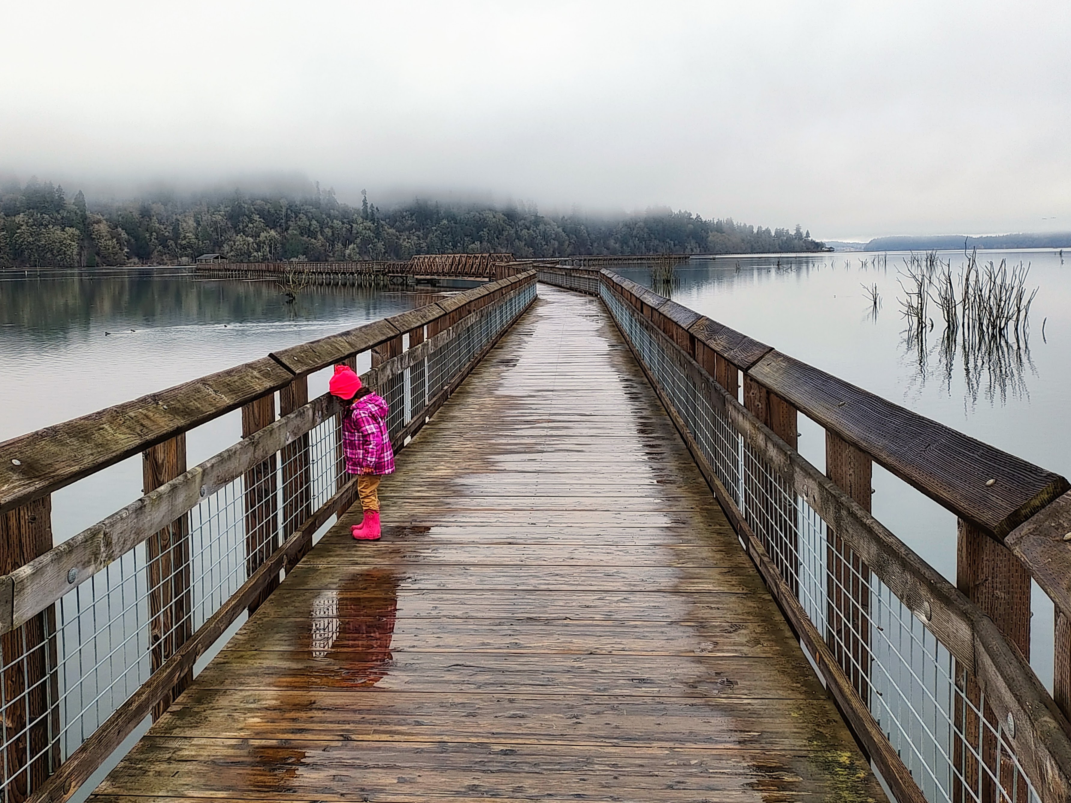 Hikers in Action 1st Place by Lily Niland Small child in pink rain coat stands on boardwalk on rainy day looking out onto water.
