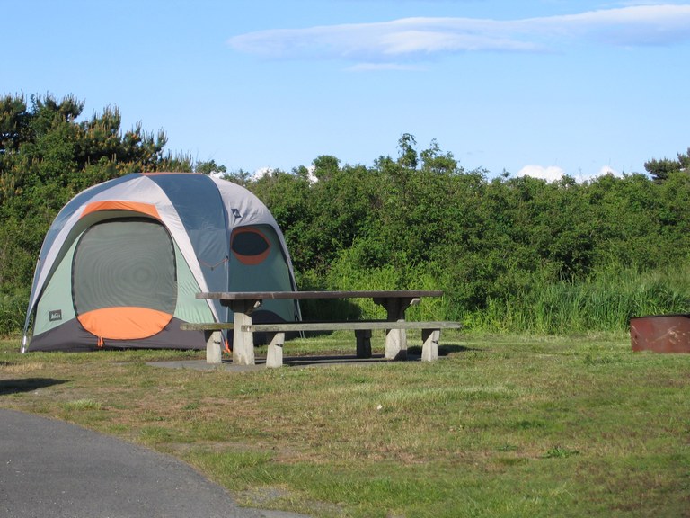 A tent set up next to picnic table at a grassy campsite.