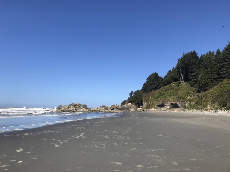 Waves crash on the beach before a wooded hillside. 