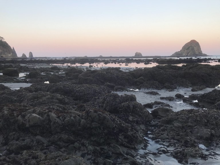 Rocks dot the rugged Olympic coast line at twilight.