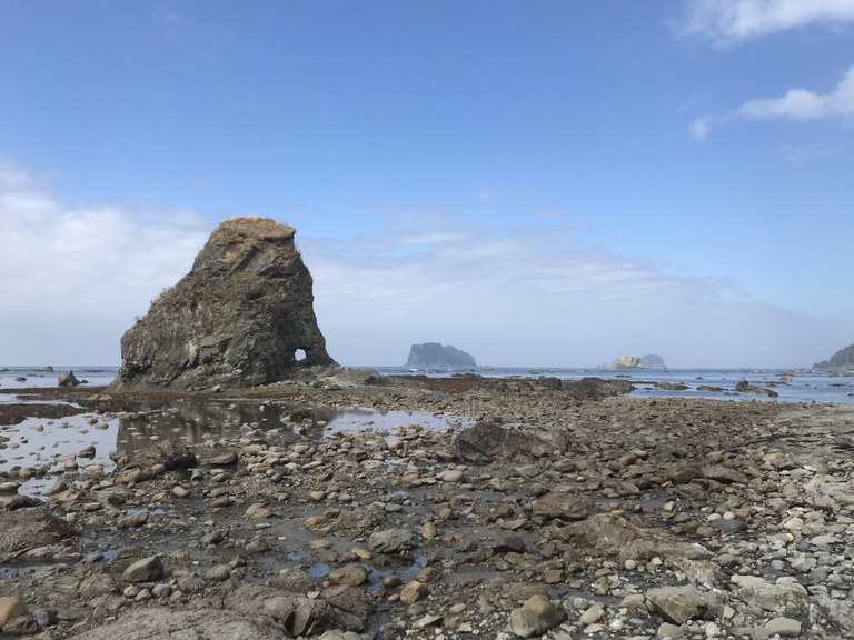 A rock monolith stands among tidepools on the Olympic coast.
