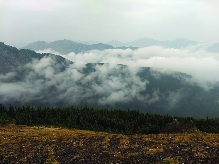 When smoky conditions forced me and my friend to cancel a backpacking trip, we pivoted to a day hike on Mount Townsend in the Olympics. Photo by Anna Roth The coastal marine layer flows into a mountain landscape.