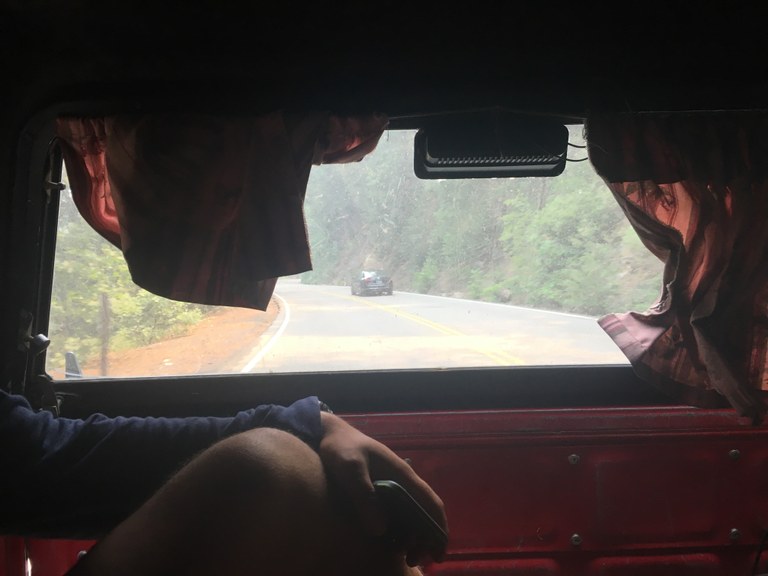 The view from the back of a driving pickup truck in Yosemite, CA.